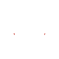 pollo_e_friends-logo-white